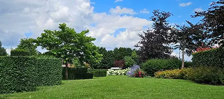 Beau jardin